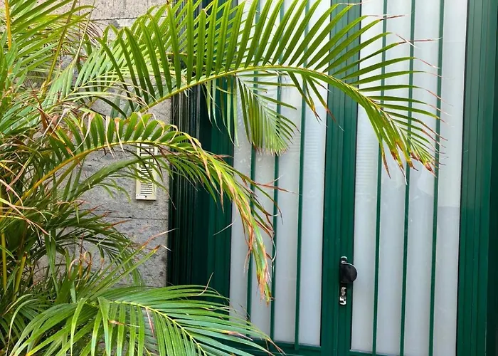 아파트 Flores 푸에르토 드 라 크루즈